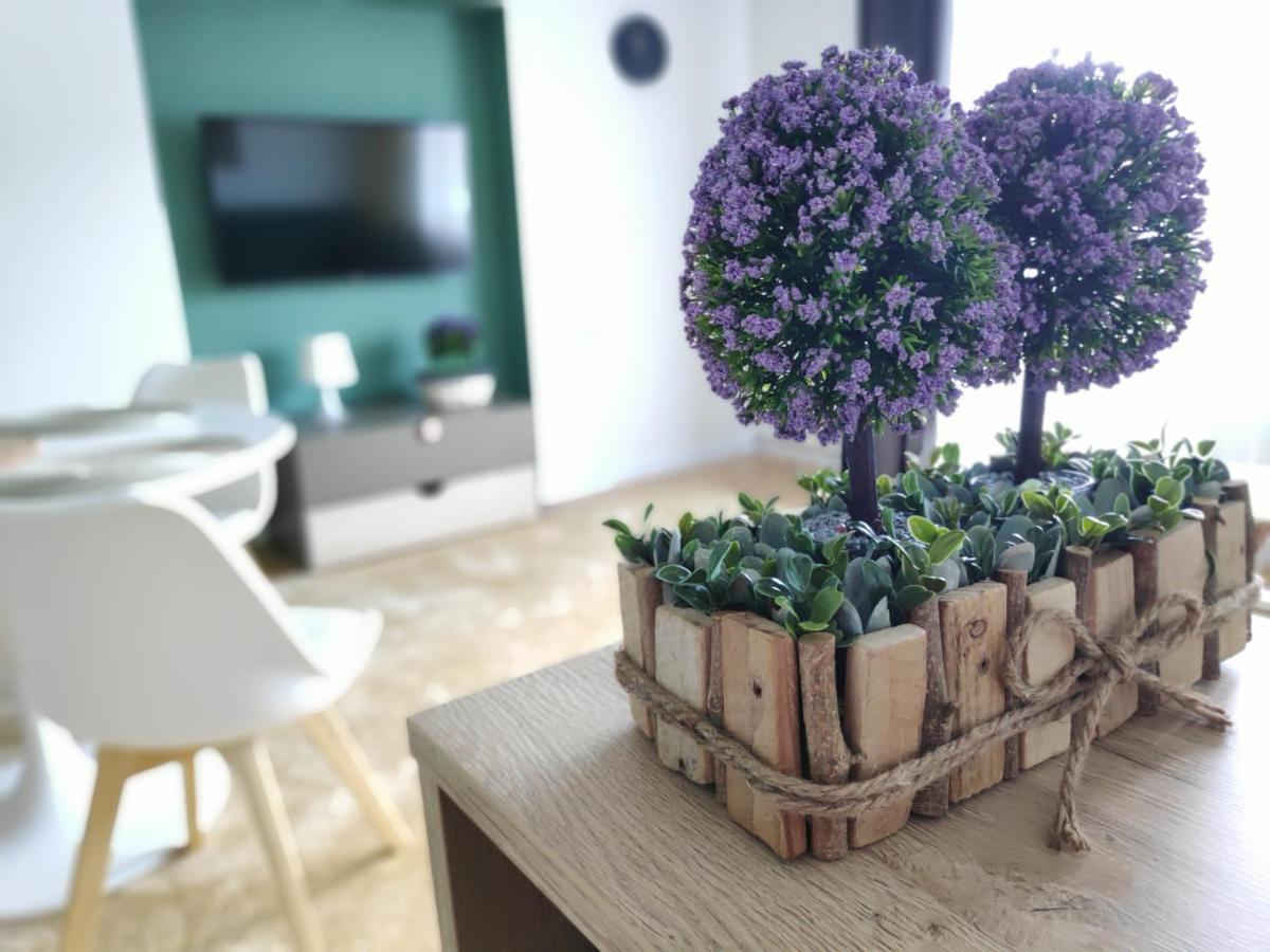 Apartament Karpaty Krynica Zdroj Exterior foto